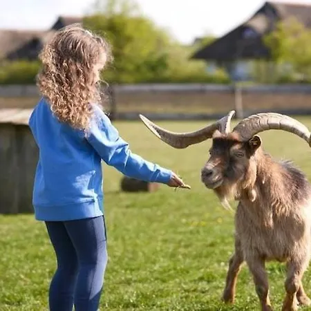 Im Der Valk In Linstow Hébergement de vacances *